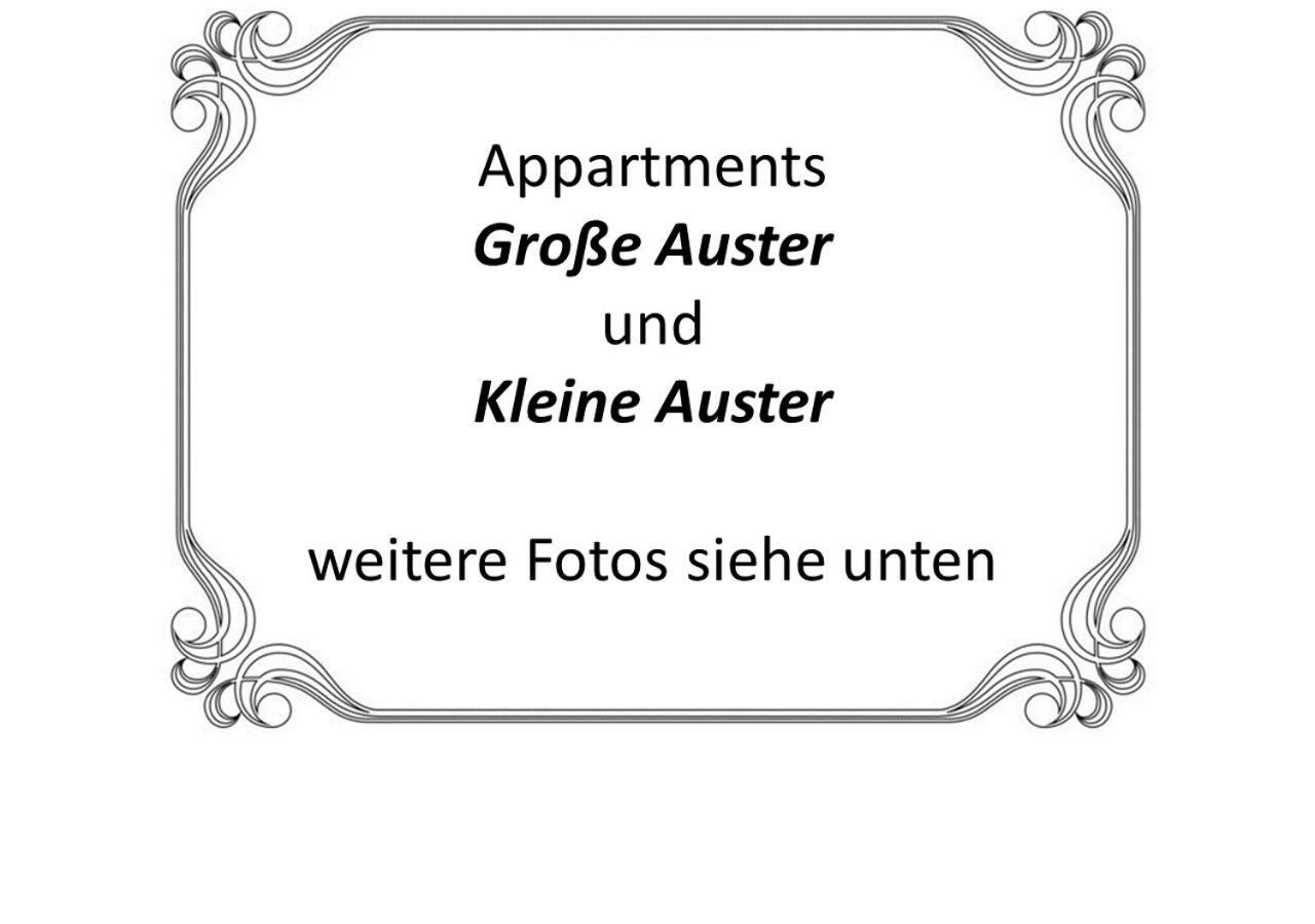 Auster-Appartements Saarbrücken Exterior foto